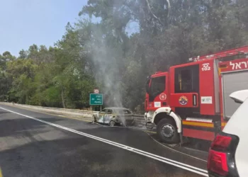 Incendio de un vehículo desata un incendio forestal en Israel