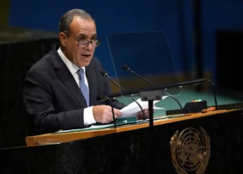 Egipto en la ONU acusa a Israel de genocidio y agresión descontrolada