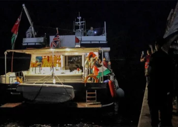 Activistas afirman que la flotilla a Gaza fue atacada por “múltiples drones”