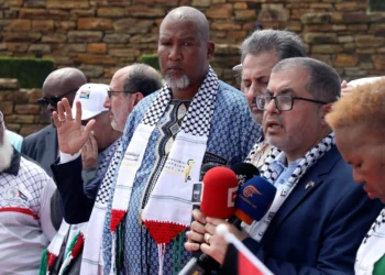 Nieto de Mandela, que apoya a Hamás, se unirá a la flotilla a Gaza