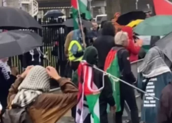 Protestas en Róterdam buscan impedir a Israel en torneo de béisbol