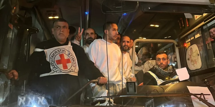 Ilustración: terroristas palestinos presos, liberados por Israel, hacen un gesto al llegar en autobús al Hospital Europeo de Jan Yunis, en el sur de la Franja de Gaza, la madrugada del 27 de febrero de 2025. (Foto: AFP)