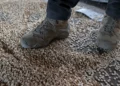 Siria anuncia la incautación de 12 millones de píldoras de Captagon
