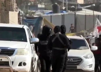 Cruz Roja y Egipto buscan en Rafah los cuerpos de rehenes israelíes asesinados