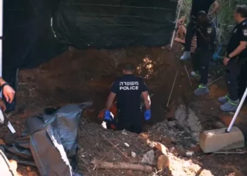 Mujer enterró a madre sobreviviente del Holocausto en el patio trasero para seguir recibiendo compensación