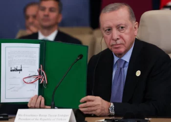 Erdogan dice que Turquía puede dar a Gaza “cualquier forma de apoyo”