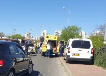 Escena de un ataque con arma blanca cerca de Tzrifin el 4 de abril de 2023. (Magen David Adom)