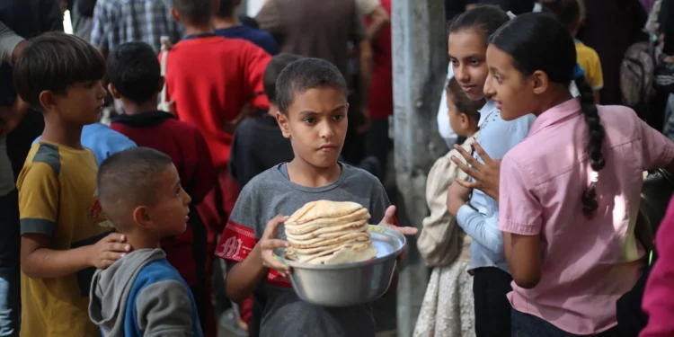 La ONU dice que solo ha podido ofrecer educación a una sexta parte de los niños de Gaza