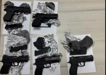 Las FDI frustraron un intento de contrabando de armas a Israel desde Siria