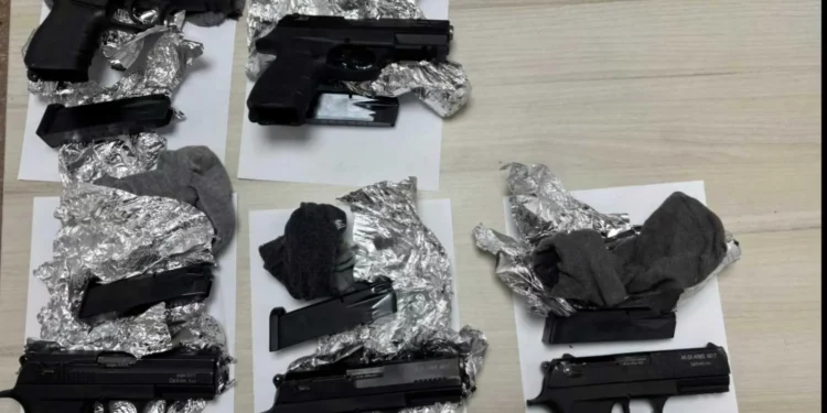Las FDI frustraron un intento de contrabando de armas a Israel desde Siria