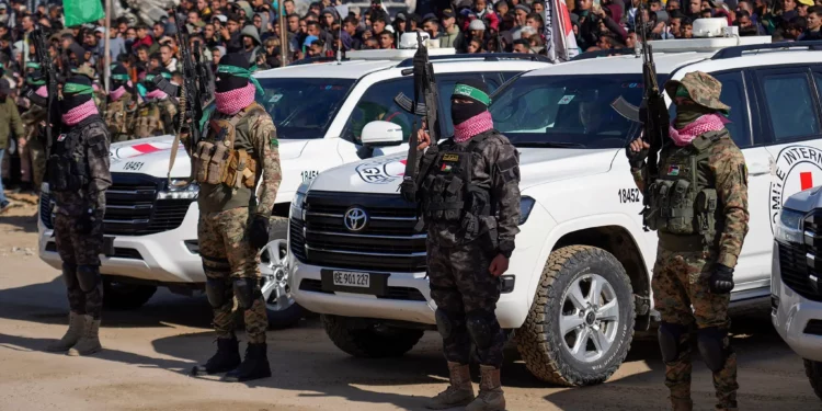 Terroristas de Hamás y la Yihad Islámica cerca de vehículos de la Cruz Roja que llegan a Jan Yunis antes de la liberación de tres rehenes el 15 de febrero de 2025 (Foto AP/Abdel Kareem Hana)