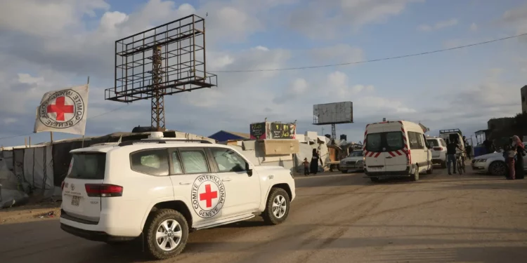 Vehículos de la Cruz Roja avanzan hacia el norte de la Franja de Gaza desde la ciudad de Al-Zawayda, cerca de Deir al-Balah, en el centro de Gaza, el 9 de octubre de 2025. (Bashar TALEB / AFP)
