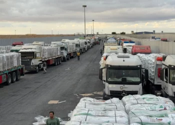 Camiones cargados con ayuda humanitaria están estacionados en el lado egipcio del cruce de Rafah, a la espera de acceder a la Franja de Gaza, el 12 de octubre de 2025. (AFP)