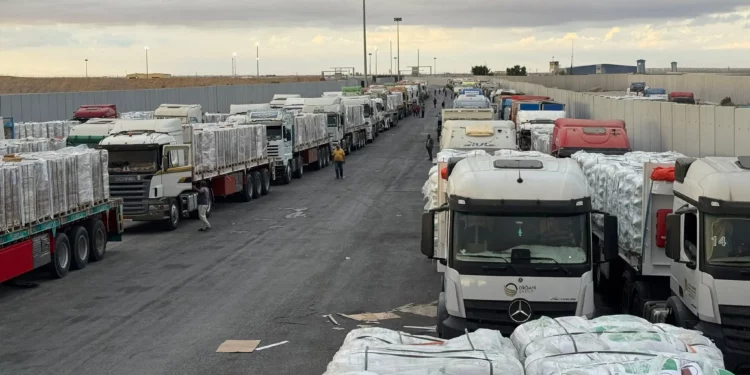 Camiones cargados con ayuda humanitaria están estacionados en el lado egipcio del cruce de Rafah, a la espera de acceder a la Franja de Gaza, el 12 de octubre de 2025. (AFP)