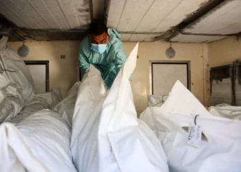 Un empleado del hospital revisa los restos de palestinos liberados por Israel en virtud de un acuerdo de alto el fuego e intercambio de rehenes en Gaza, dentro de un camión frente al hospital Nasser en Jan Yunis, en el sur de la Franja de Gaza, el 18 de octubre de 2025. (Omar AL-QATTAA / AFP