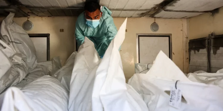 Un empleado del hospital revisa los restos de palestinos liberados por Israel en virtud de un acuerdo de alto el fuego e intercambio de rehenes en Gaza, dentro de un camión frente al hospital Nasser en Jan Yunis, en el sur de la Franja de Gaza, el 18 de octubre de 2025. (Omar AL-QATTAA / AFP