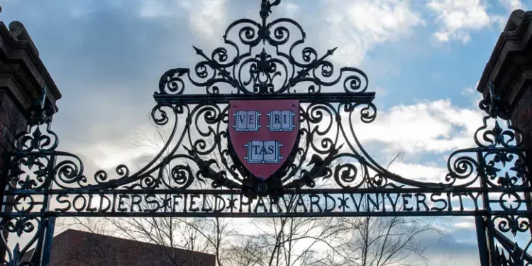 El escudo "Veritas" de la Universidad de Harvard se ve en una puerta el 17 de febrero de 2024.
Perica Denhoff/Icon Sportswire vía Getty Images