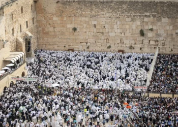 Los fieles judíos rezan en el Muro Occidental el 9 de octubre de 2025. (Chaim Goldberg/Flash90)