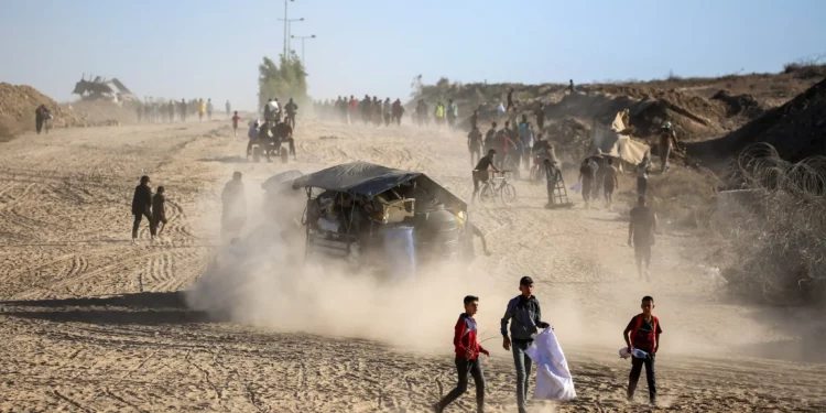 Palestinos se dirigen a la ciudad de Gaza a través del llamado Corredor Netzarim en el centro de la Franja de Gaza el 11 de octubre de 2025. (Eyad BABA / AFP)