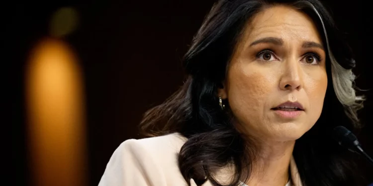 La directora de Inteligencia Nacional de Estados Unidos, Tulsi Gabbard, interviene durante una audiencia del Comité de Inteligencia del Senado en Washington, D.C., el 25 de marzo de 2025. (Andrew Harnik/Getty Images/AFP)