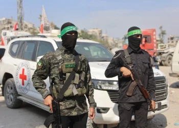 Hombres armados de Hamás se encuentran cerca de un vehículo de la Cruz Roja Internacional (CICR), mientras se lleva a cabo una búsqueda de los cuerpos de los rehenes israelíes asesinados, en la ciudad de Gaza el 2 de noviembre de 2025. (Omar AL-QATTAA / AFP)