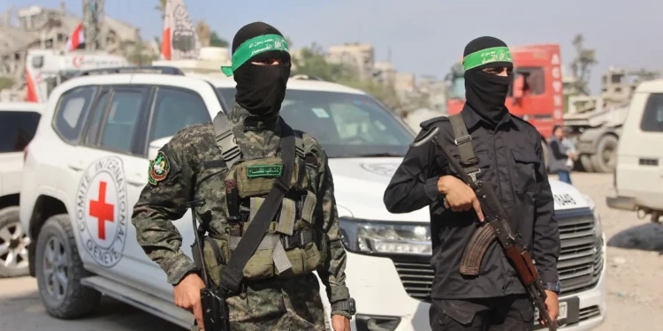 Hombres armados de Hamás se encuentran cerca de un vehículo de la Cruz Roja Internacional (CICR), mientras se lleva a cabo una búsqueda de los cuerpos de los rehenes israelíes asesinados, en la ciudad de Gaza el 2 de noviembre de 2025. (Omar AL-QATTAA / AFP)