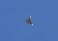 El dron que impactó en un petrolero de propiedad israelí fue lanzado desde una base del CGRI