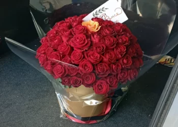 Hackers iraníes afirman: “Hemos entrado en el coche de un científico nuclear israelí”