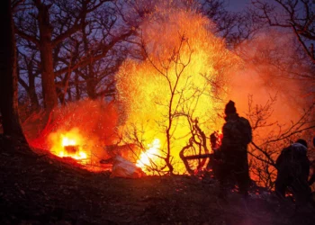 Irán solicita ayuda urgente para extinguir incendio en bosques hircanos