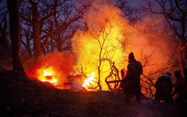 Irán solicita ayuda urgente para extinguir incendio en bosques hircanos