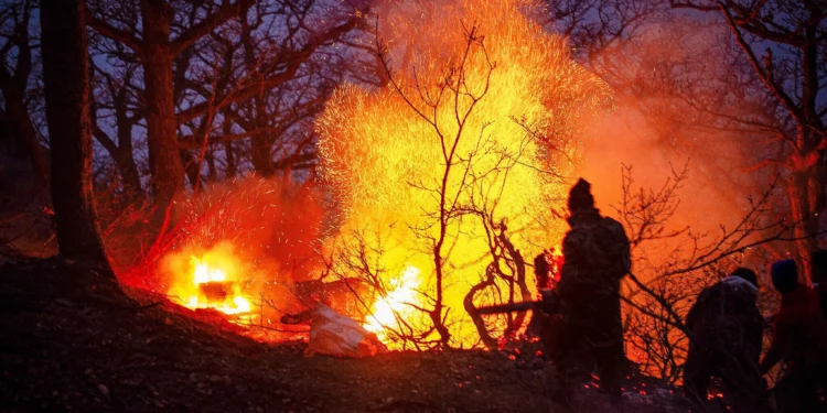 Irán solicita ayuda urgente para extinguir incendio en bosques hircanos