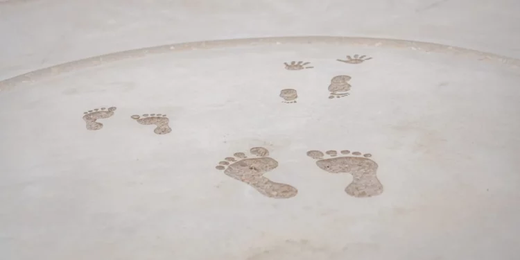 Homenaje a la familia Bibas abrirá el próximo mes en Tzeelim Israel