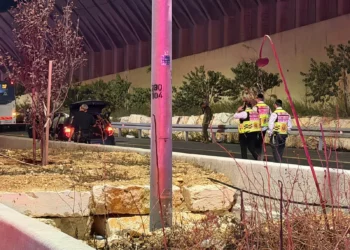 Soldado fuera de servicio dispara a palestino que intentaba entrar ilegalmente en Israel