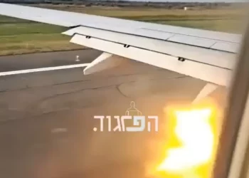 Vuelo de El Al aborta despegue en Georgia tras impacto con aves