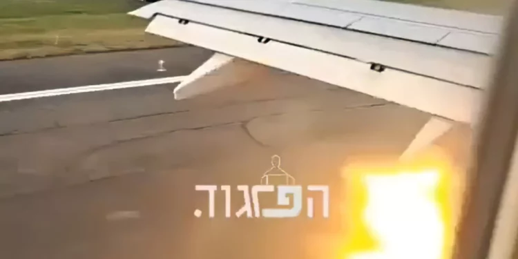 Vuelo de El Al aborta despegue en Georgia tras impacto con aves