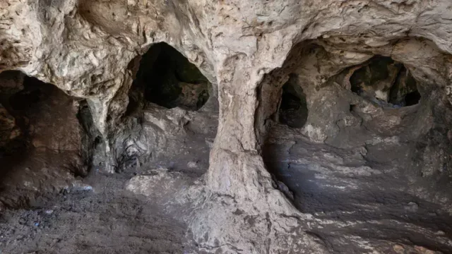 Universidad de Haifa descubre que el Carmelo tuvo lagos y cazadores de aves