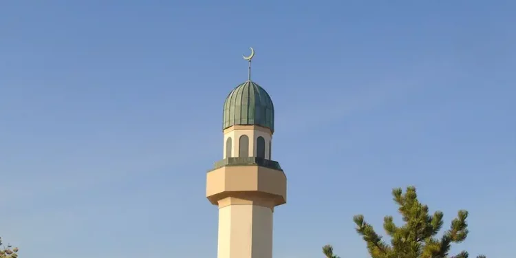 La Torre Eiffel se iluminó con los colores de la bandera francesa en París, el 12 de noviembre de 2025, en honor a las víctimas de los atentados terroristas ocurridos hace 10 años en la sala de conciertos Bataclan, cafés y el Estadio Nacional. (Foto AP/Michel Euler)