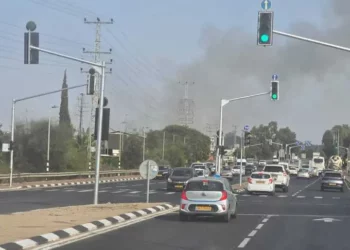 Humo se eleva de un incendio forestal en Ein Vered, un moshav en el centro de Israel, el 4 de noviembre de 2025. (Cortesía del Servicio de Bomberos y Rescate)