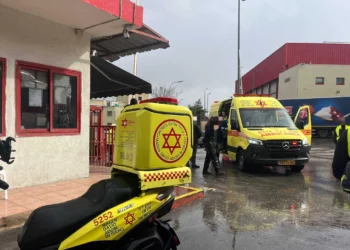 Policía herido en atropello cerca de Jerusalén: conductor fugitivo
