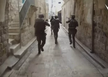 Fuerzas israelíes arrestan a sospechoso vinculado a Guarida del León