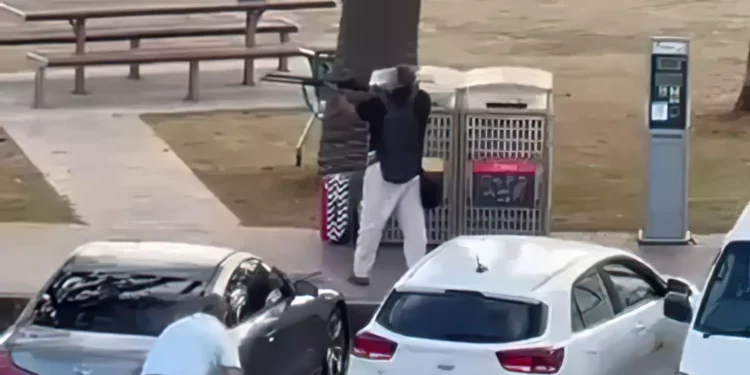 Un civil desarmó a atacante en tiroteo en Bondi Beach