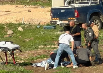 Dos muertos en ataque terrorista por apuñalamiento y atropello en el norte de Israel