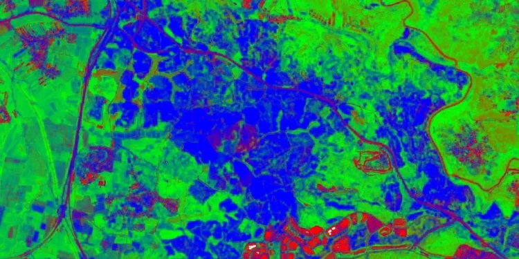 Investigadores israelíes crean plataforma satelital para mapear bosques