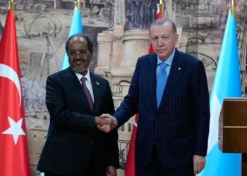 Erdogan califica el reconocimiento israelí de Somalilandia como “ilegítimo e inaceptable”