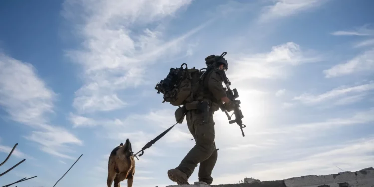 Las FDI destruyen túneles de Hamás en Jan Yunis