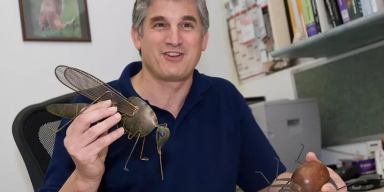 Científicos israelíes crean método para identificar moscas de arena con leishmaniasis