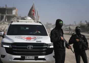 Hombres armados de Hamás acompañados por miembros del Comité Internacional de la Cruz Roja (CICR) se dirigen al barrio de Zeitoun en la ciudad de Gaza para buscar los restos de rehenes muertos, el 8 de diciembre de 2025. (Jehad Alshrafi/AP)