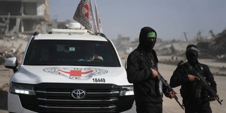 Hombres armados de Hamás acompañados por miembros del Comité Internacional de la Cruz Roja (CICR) se dirigen al barrio de Zeitoun en la ciudad de Gaza para buscar los restos de rehenes muertos, el 8 de diciembre de 2025. (Jehad Alshrafi/AP)