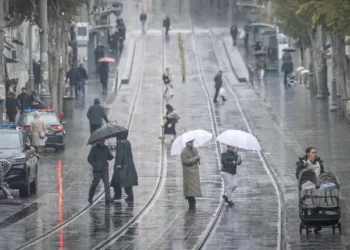 Chaim Goldberg/FLASH90