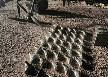 Las FDI frustran intento de contrabando de 40 pistolas desde Jordania